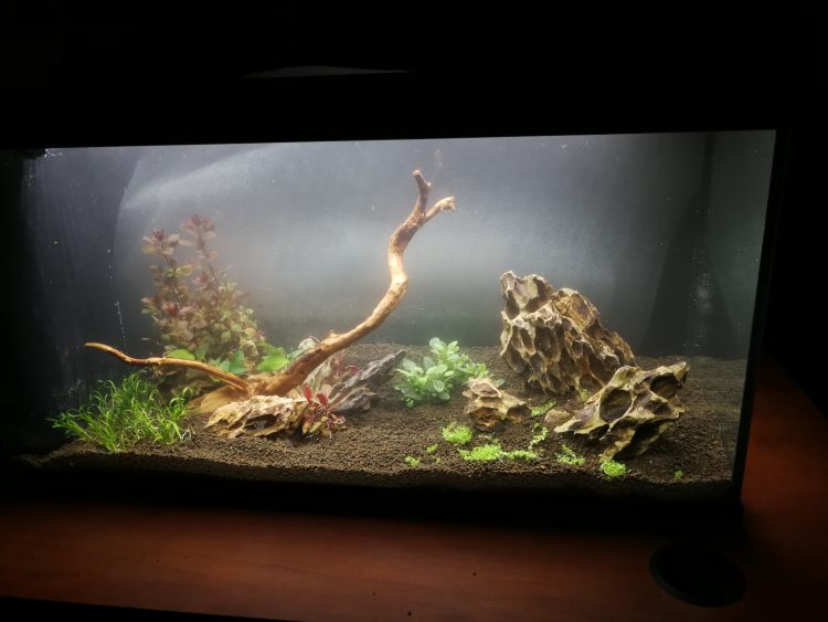 spolocenske-akvarium-96l